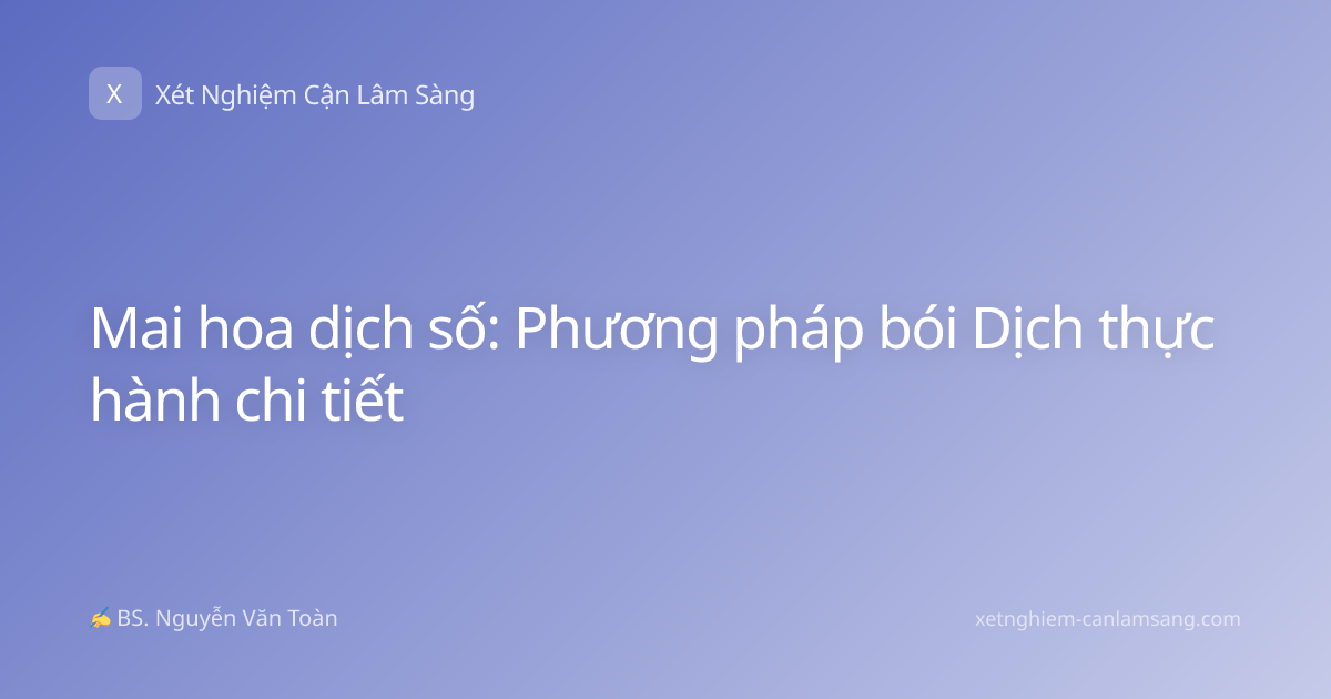 Mai hoa dịch số: Phương pháp bói Dịch thực hành chi tiết